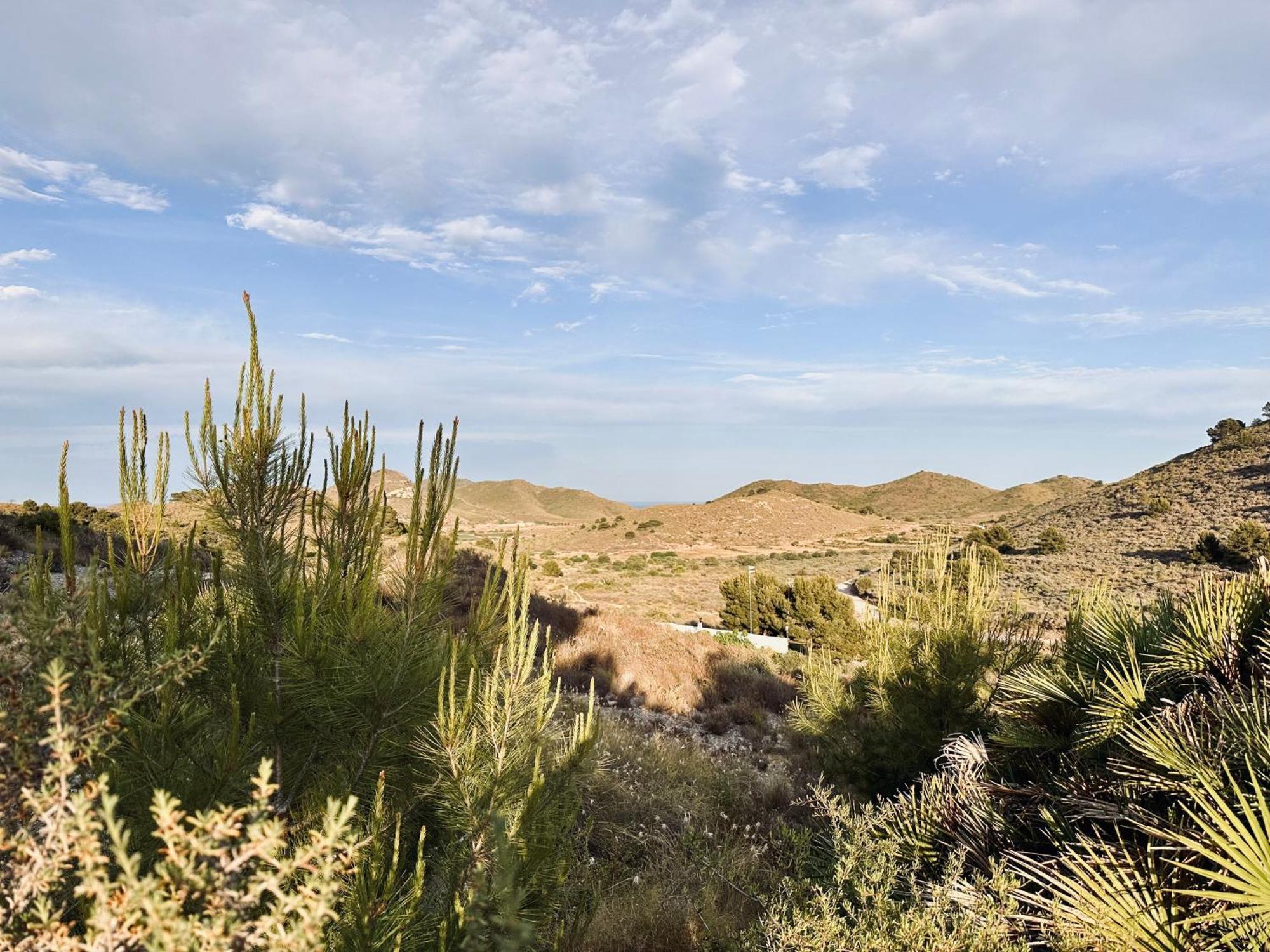 לוס בלונס Finca Ocha - Calblanque מראה חיצוני תמונה