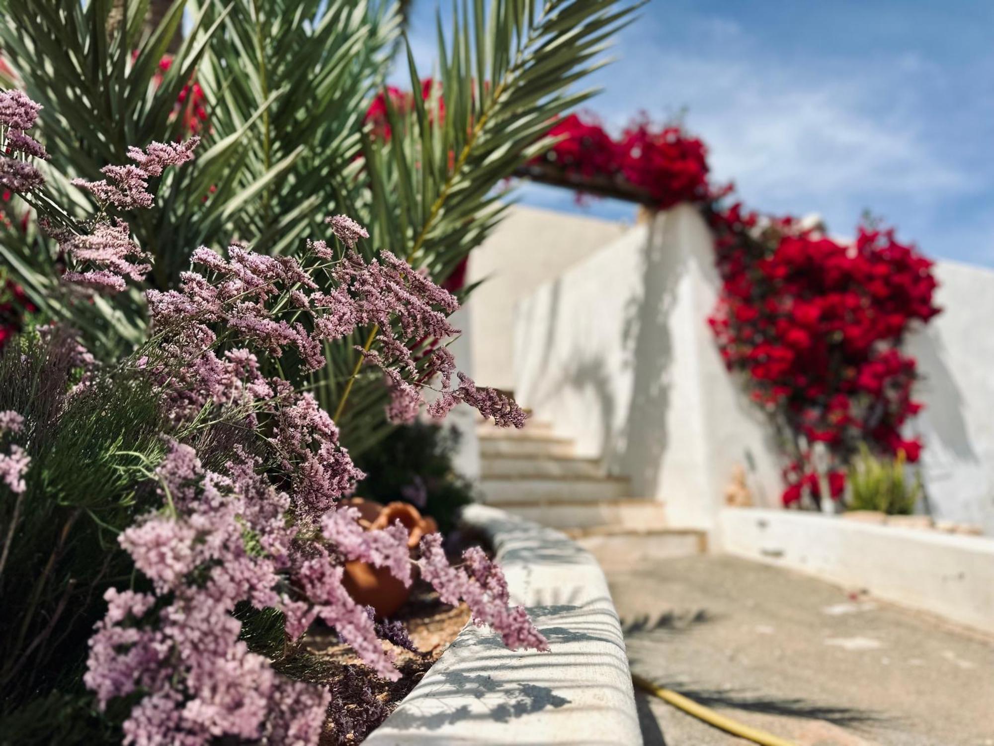 לוס בלונס Finca Ocha - Calblanque מראה חיצוני תמונה