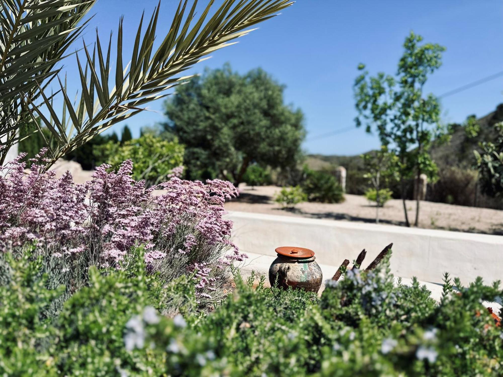 לוס בלונס Finca Ocha - Calblanque מראה חיצוני תמונה