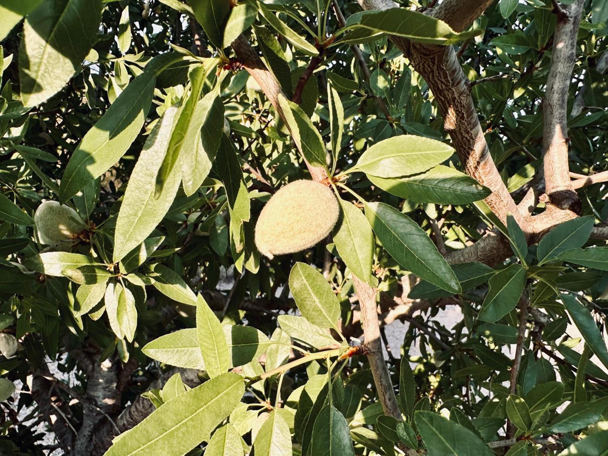 לוס בלונס Finca Ocha - Calblanque מראה חיצוני תמונה