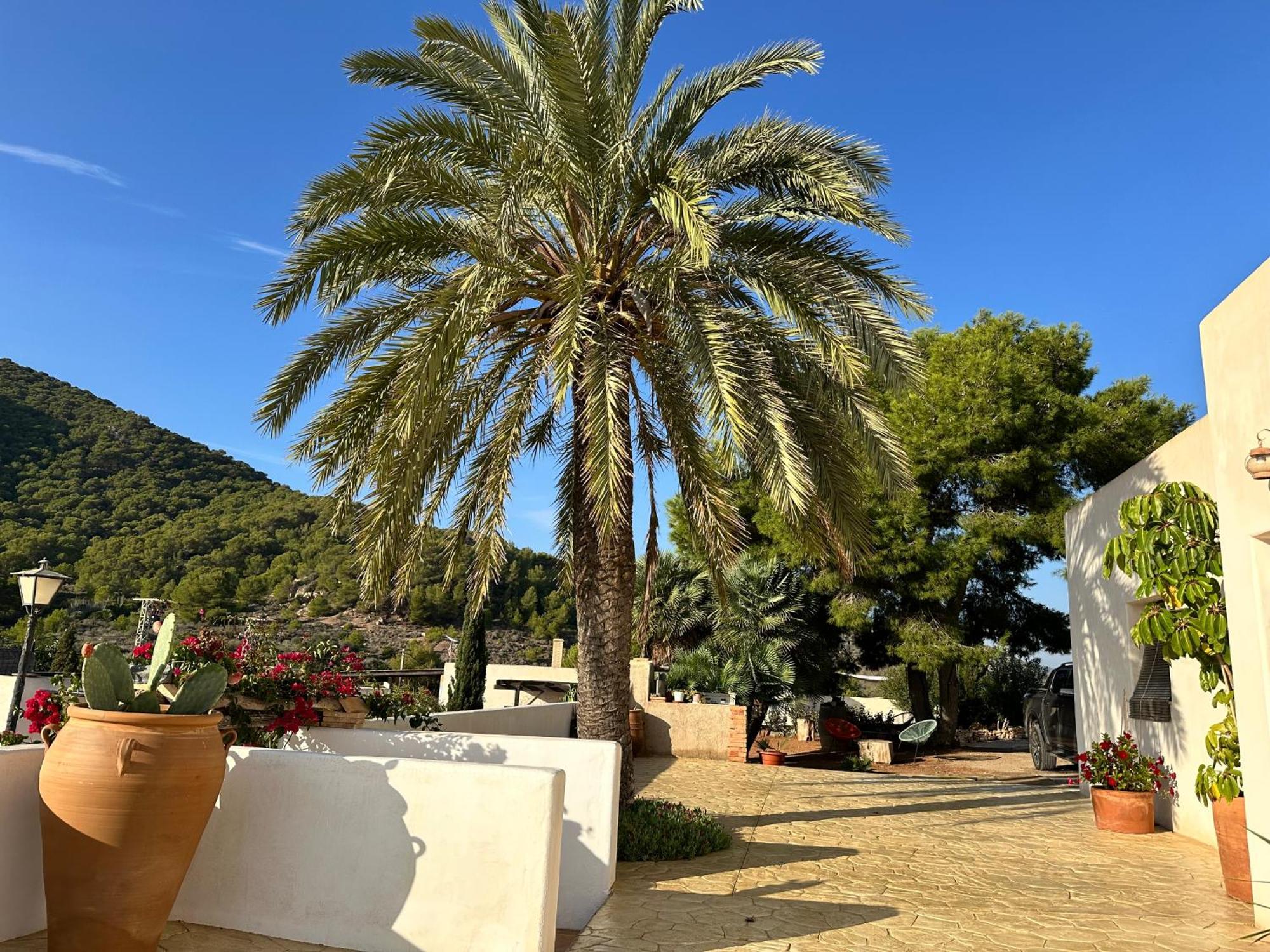 לוס בלונס Finca Ocha - Calblanque מראה חיצוני תמונה