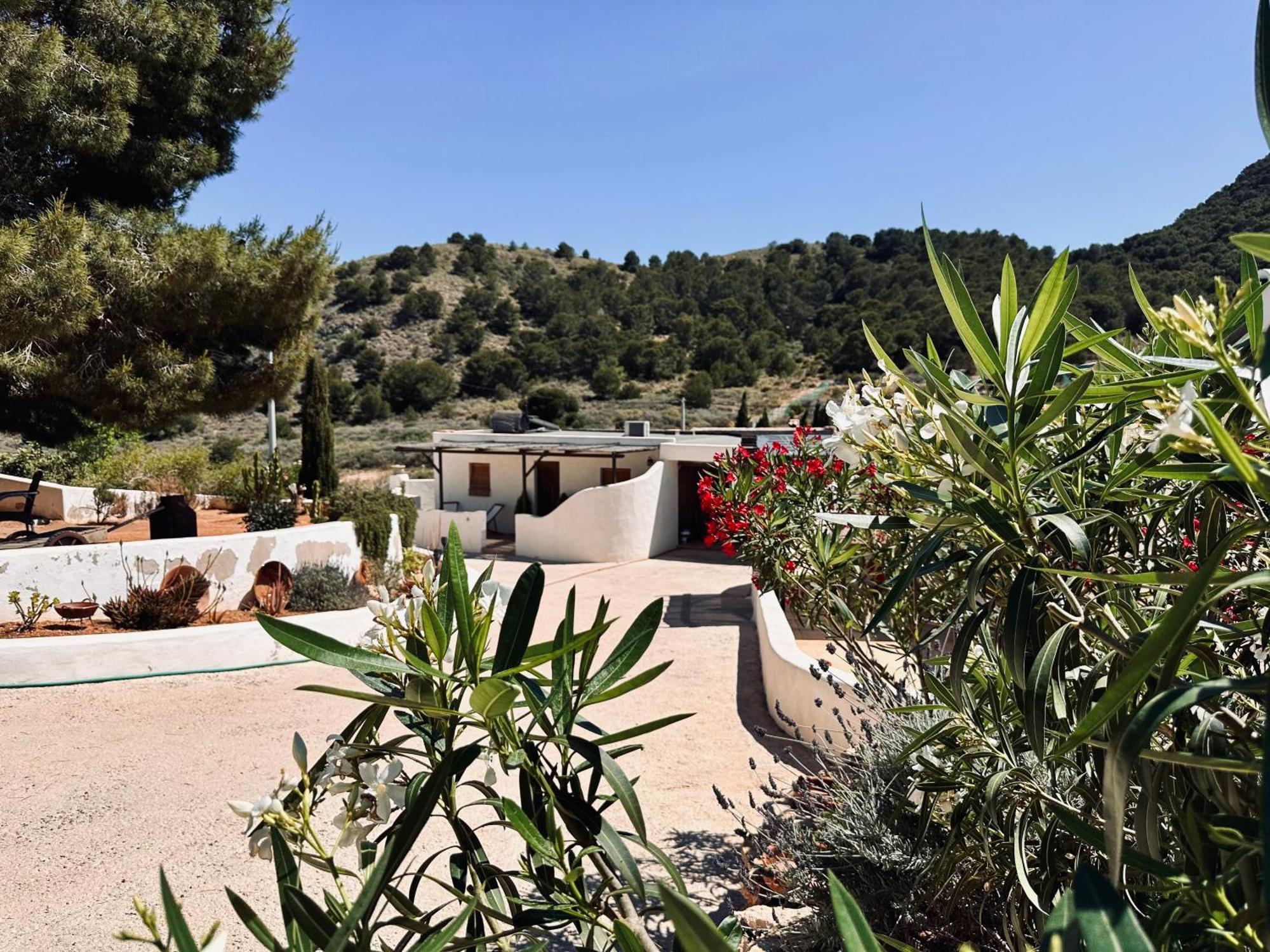 לוס בלונס Finca Ocha - Calblanque מראה חיצוני תמונה