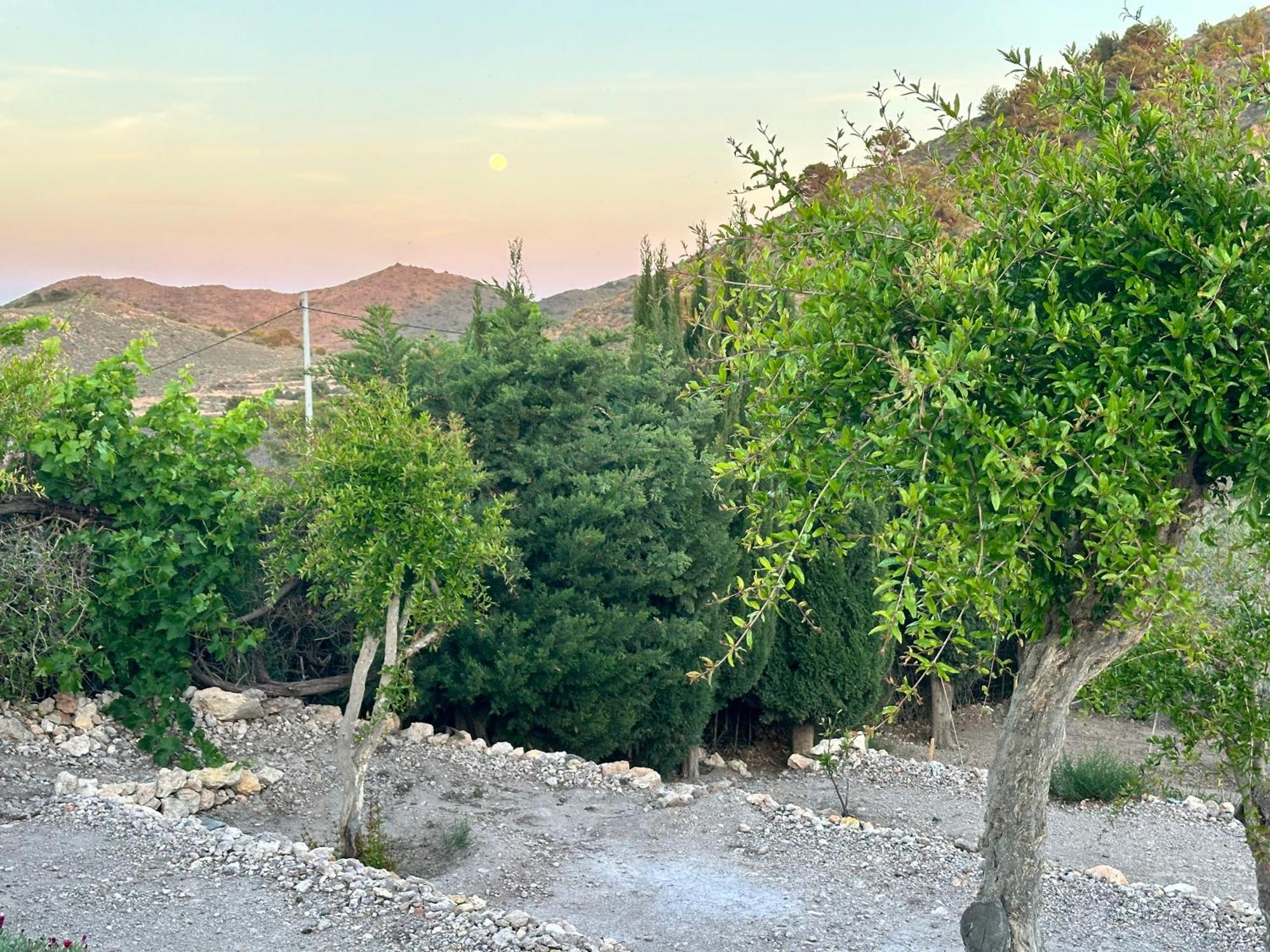 לוס בלונס Finca Ocha - Calblanque מראה חיצוני תמונה