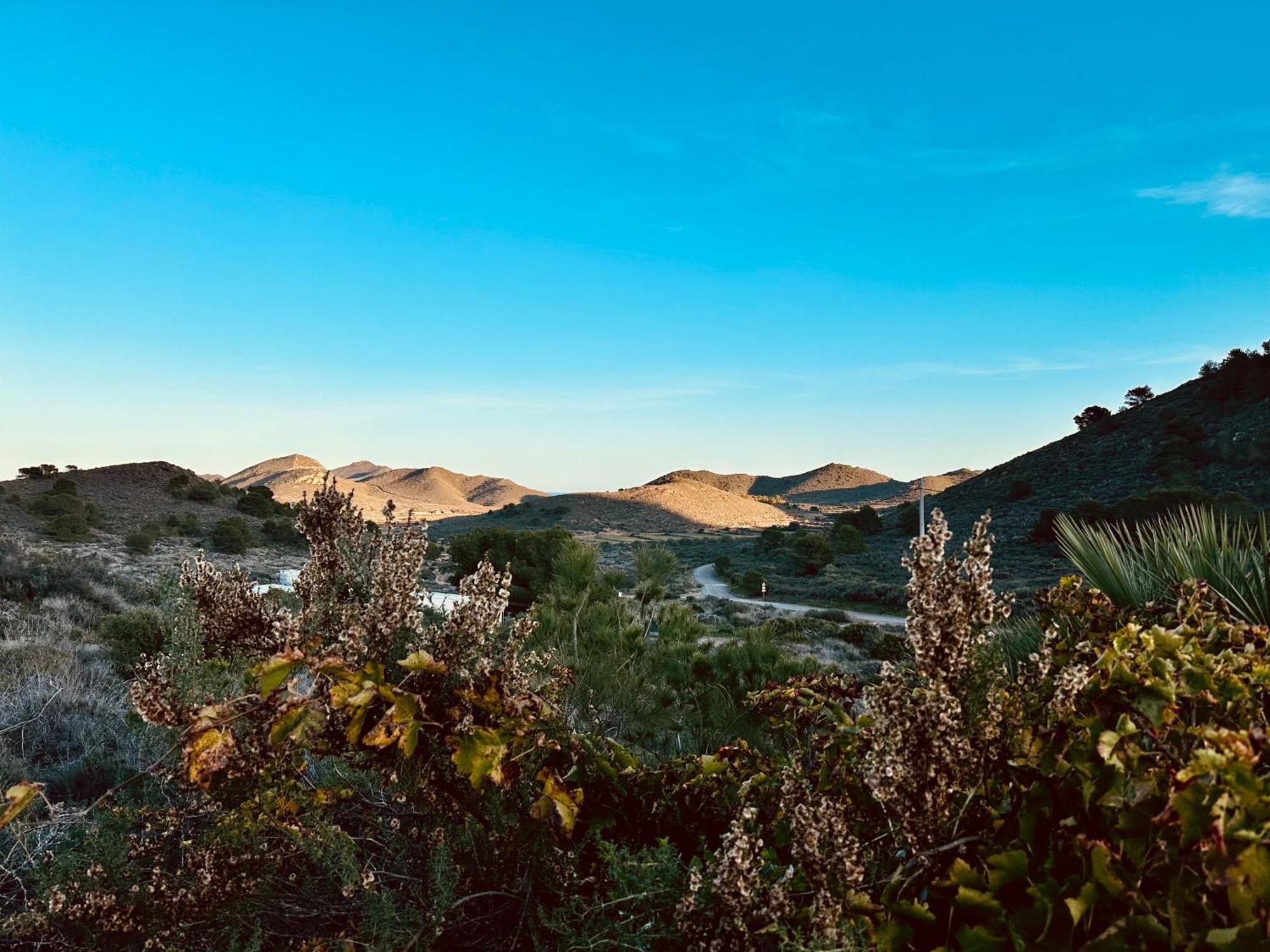 לוס בלונס Finca Ocha - Calblanque מראה חיצוני תמונה