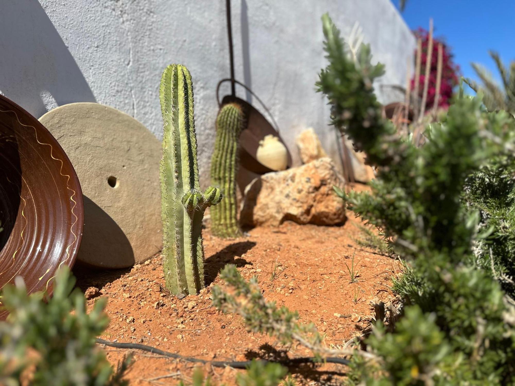 לוס בלונס Finca Ocha - Calblanque מראה חיצוני תמונה