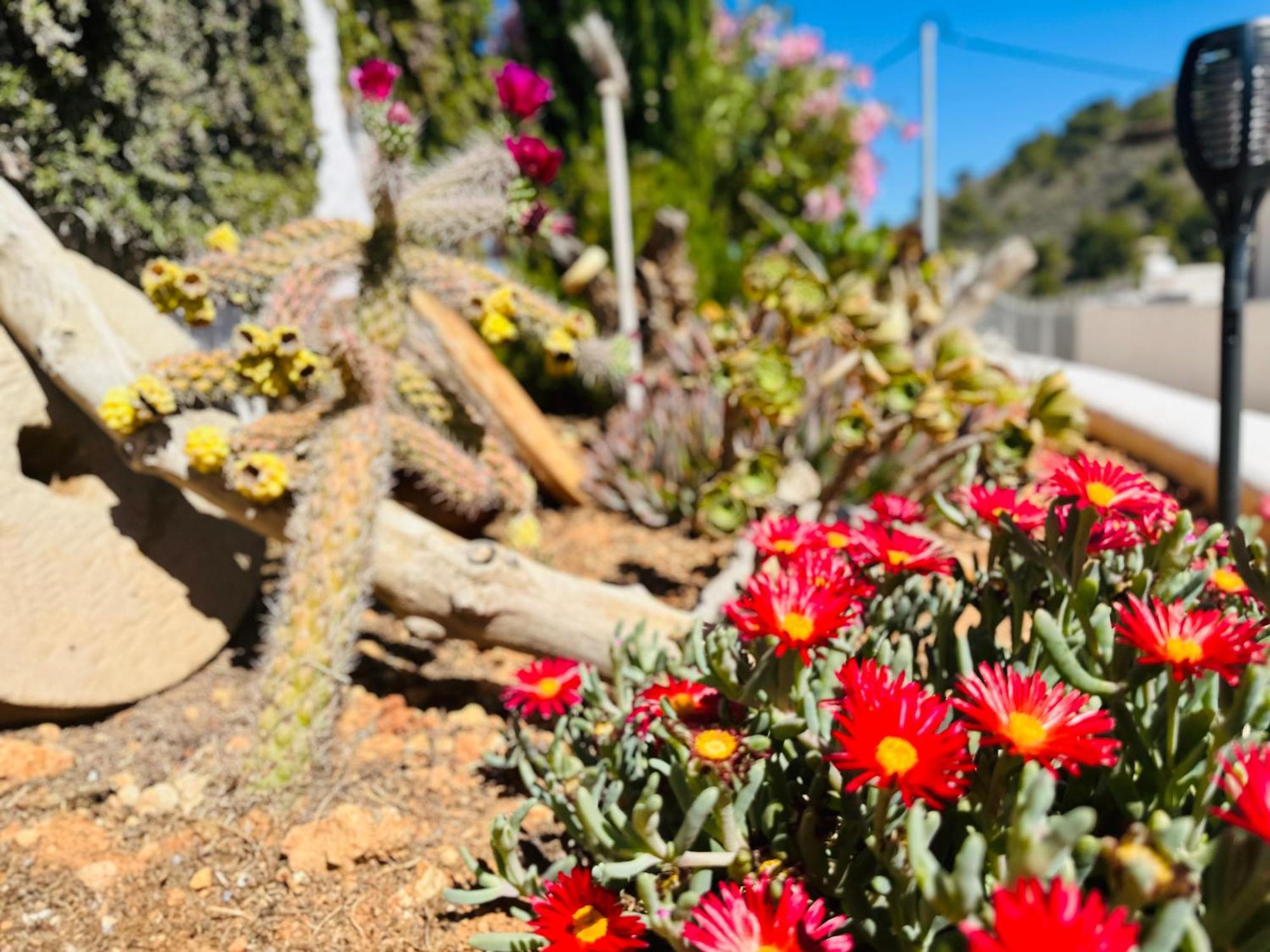 לוס בלונס Finca Ocha - Calblanque מראה חיצוני תמונה