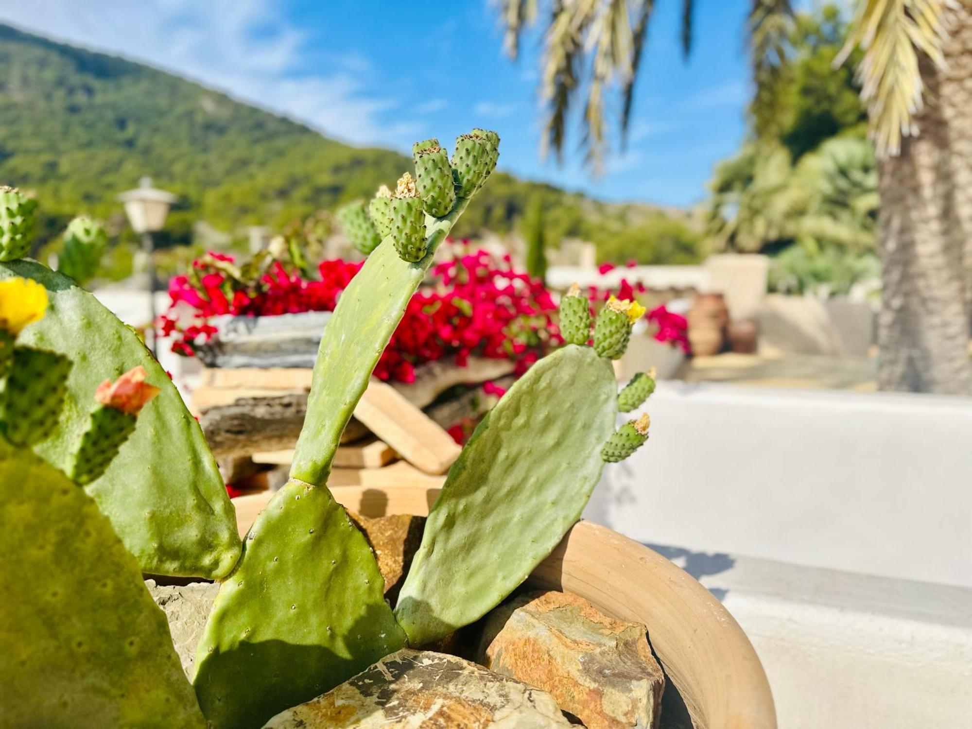 לוס בלונס Finca Ocha - Calblanque מראה חיצוני תמונה