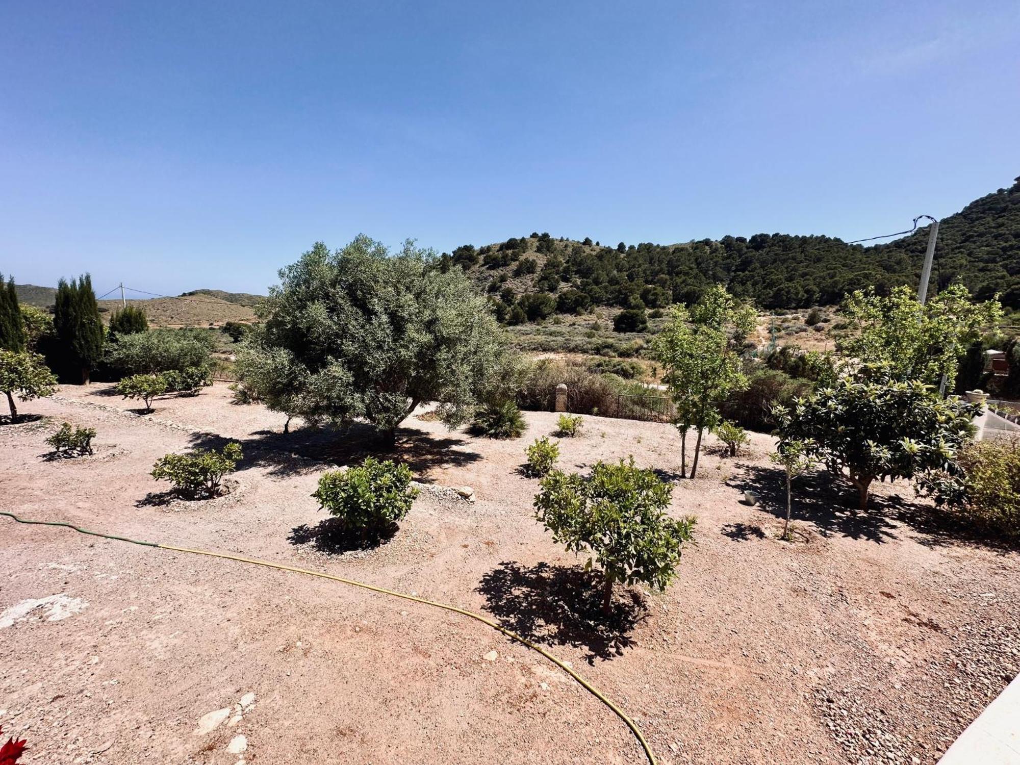 לוס בלונס Finca Ocha - Calblanque מראה חיצוני תמונה