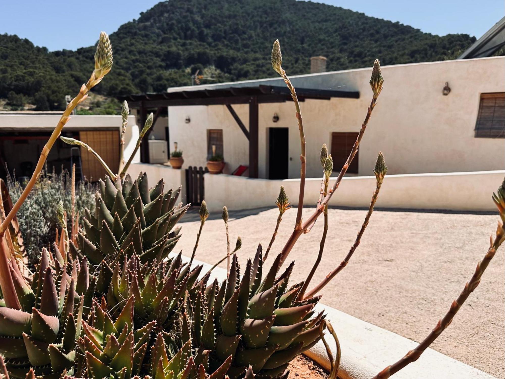 לוס בלונס Finca Ocha - Calblanque מראה חיצוני תמונה