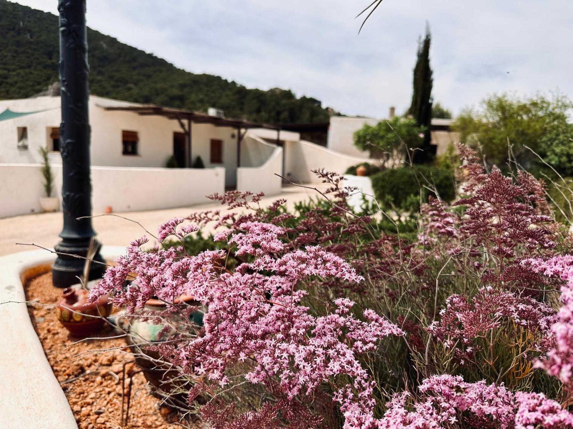לוס בלונס Finca Ocha - Calblanque מראה חיצוני תמונה